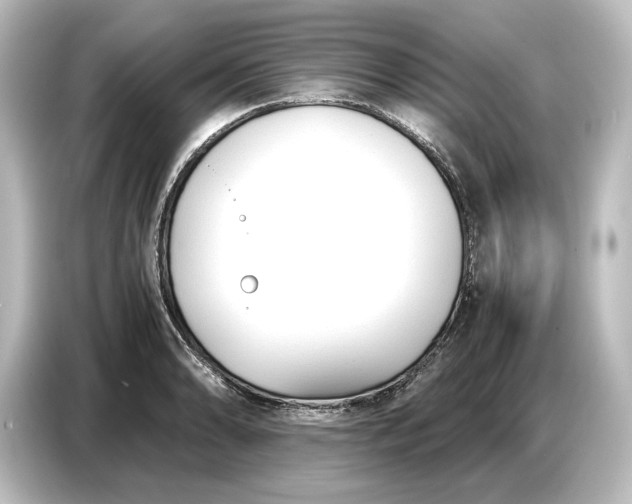 X0000087051086200705021152