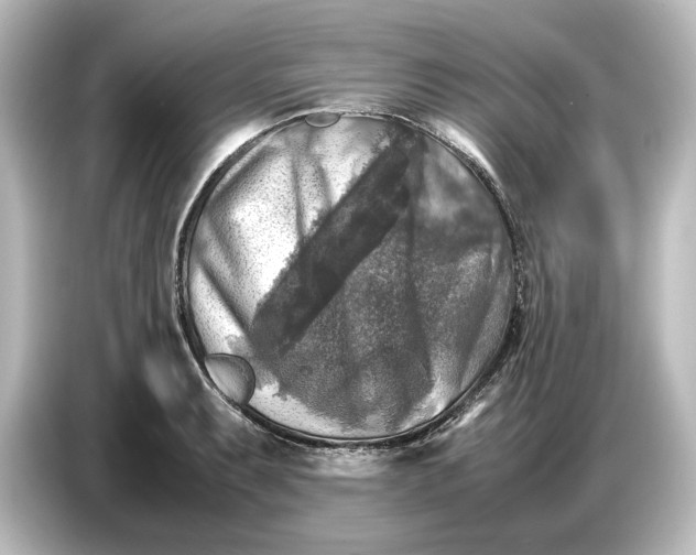 X0000087051087200705021152