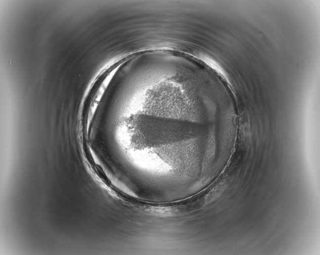 X0000087051088200705021152