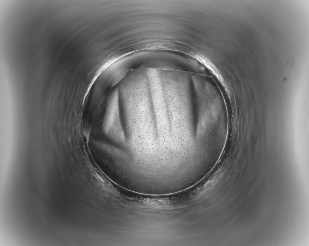 X0000087051089200705021152