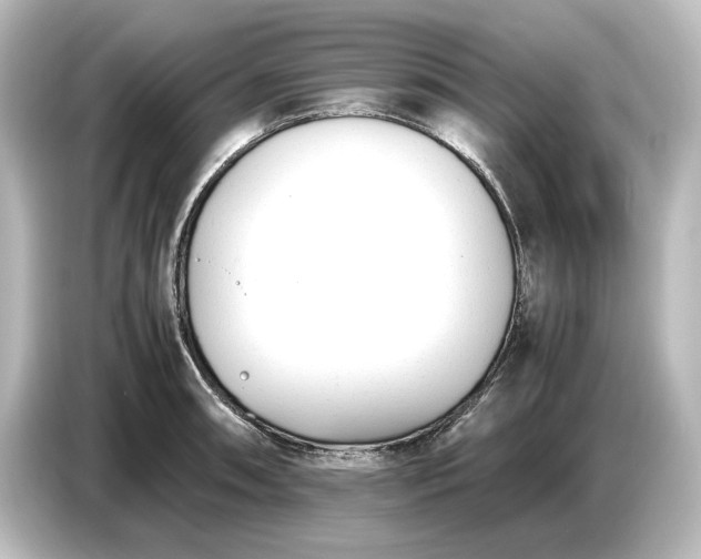 X0000087051090200705021152