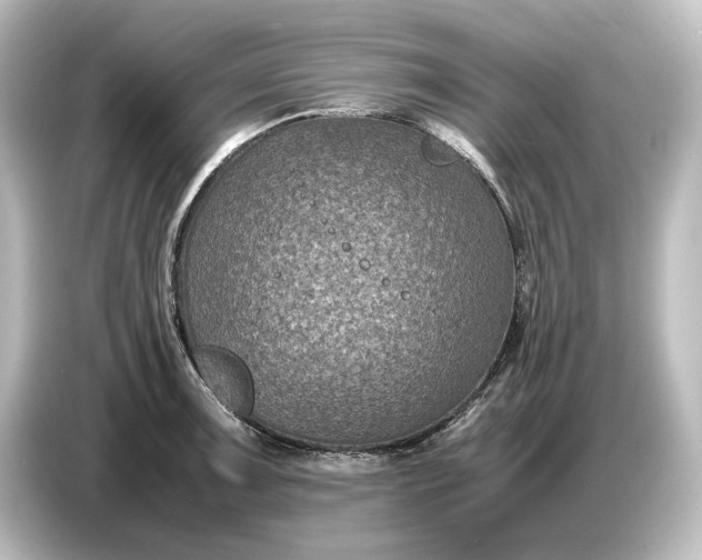 X0000087051091200705021151