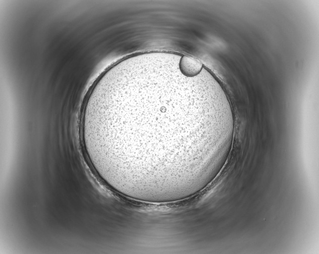 X0000087051094200705021151