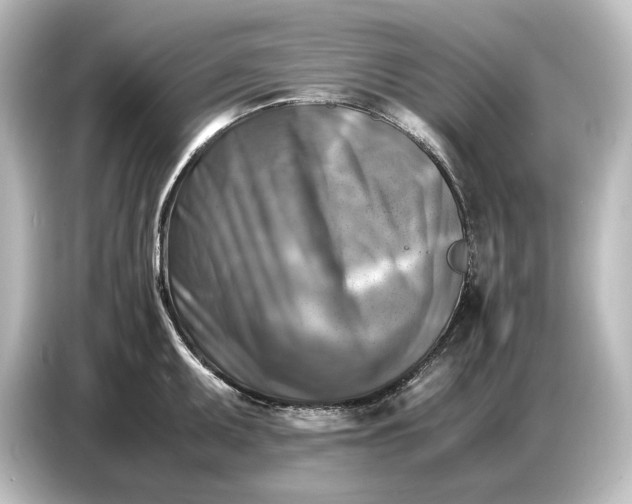 X0000087051095200705021151