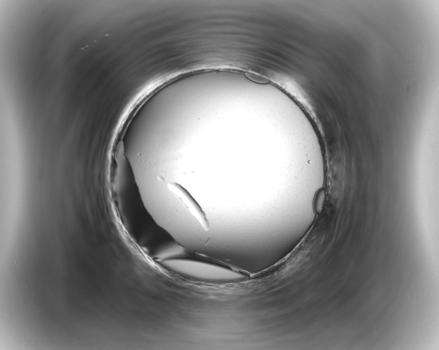 X0000087051096200705021151