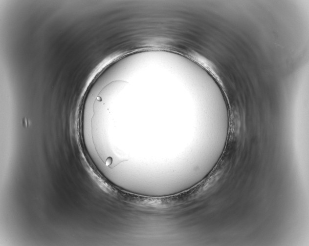 X0000087051098200705021151