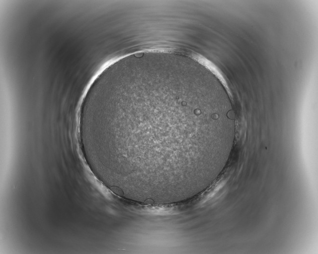 X0000087051099200705021151