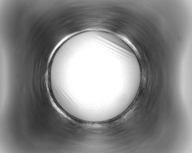 X0000087051100200705021151