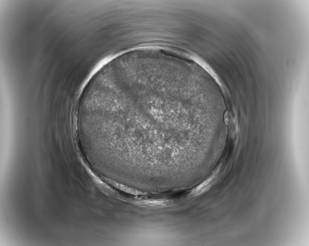 X0000087051101200705021151