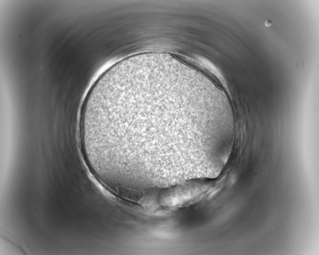 X0000087051103200705021151