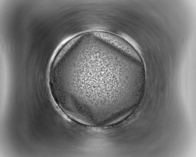 X0000087051104200705021151