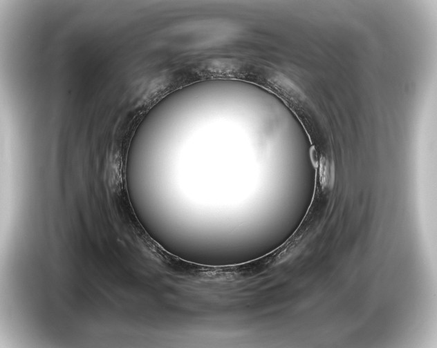 X0000087051107200705021151