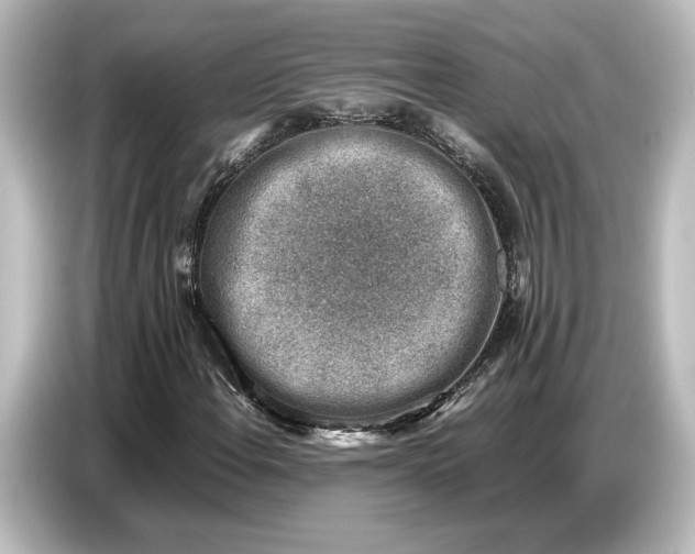 X0000087051108200705021151