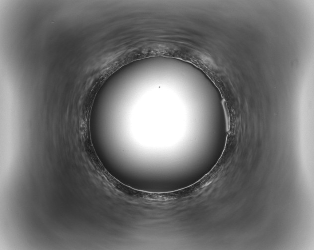 X0000087051109200705021151