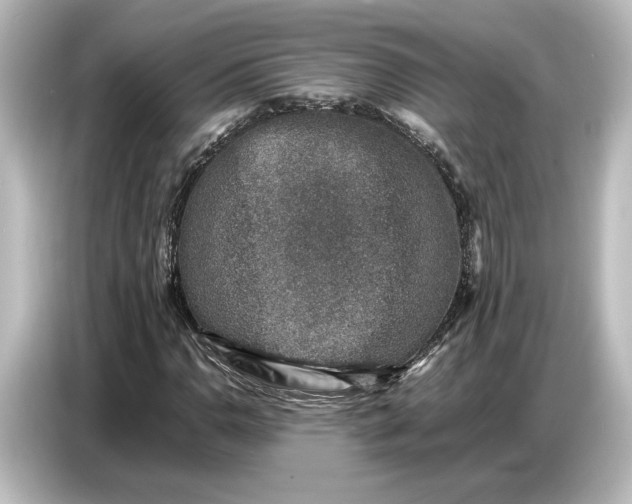 X0000087051110200705021151