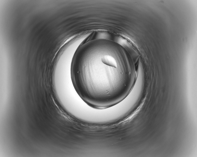 X0000087051113200705021151