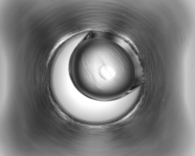 X0000087051114200705021151