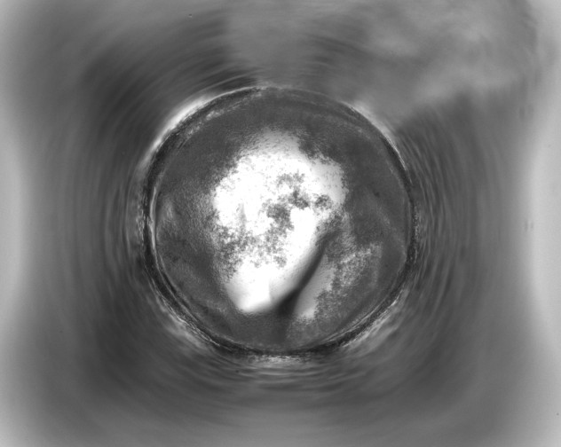 X0000087051115200705021151