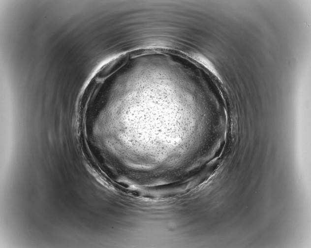 X0000087051116200705021151