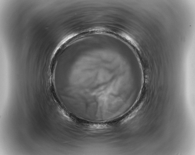 X0000087051117200705021151