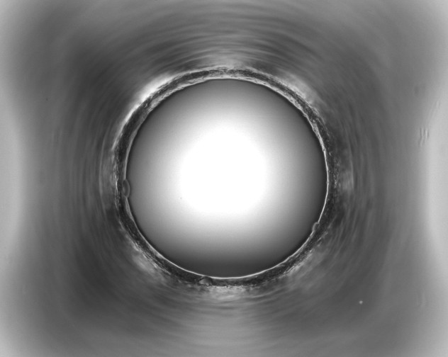 X0000087051118200705021151