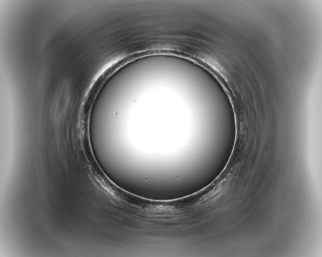 X0000087051119200705021151