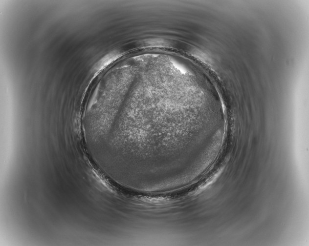 X0000087051121200705021151