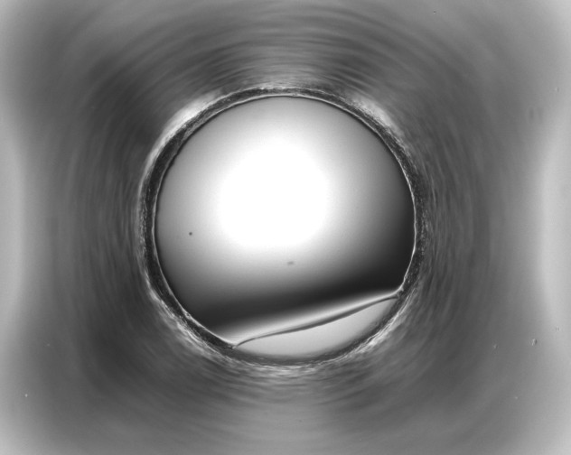 X0000087051122200705021151