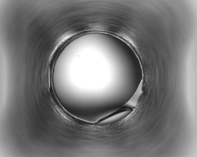 X0000087051123200705021151