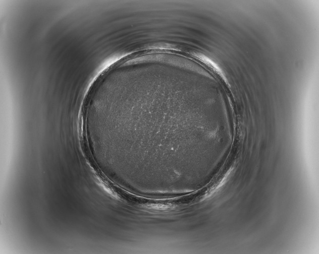 X0000087051125200705021151