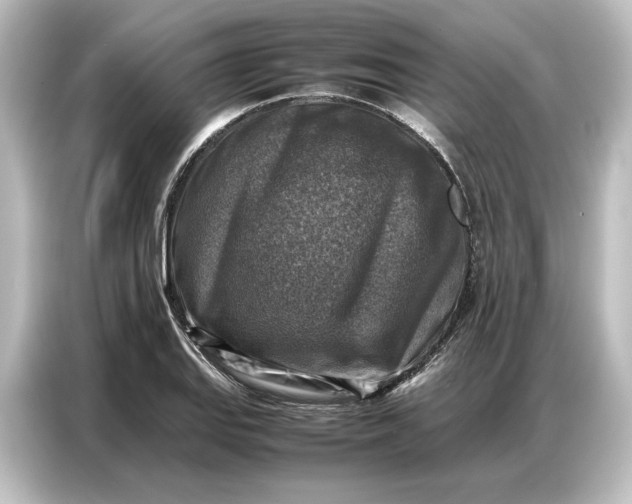 X0000087051127200705021151