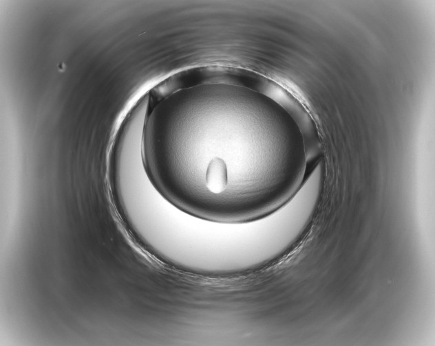 X0000087051128200705021151