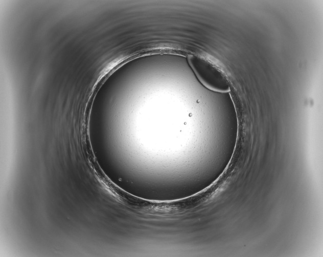 X0000087051129200705021151