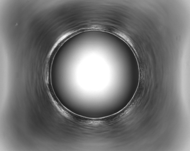 X0000087051131200705021151