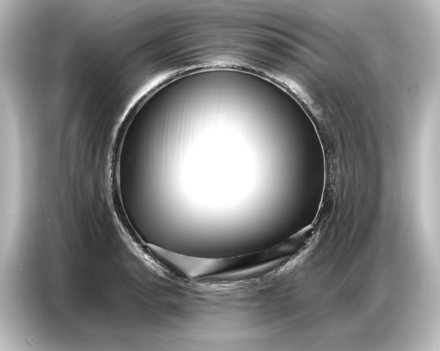 X0000087051134200705021151