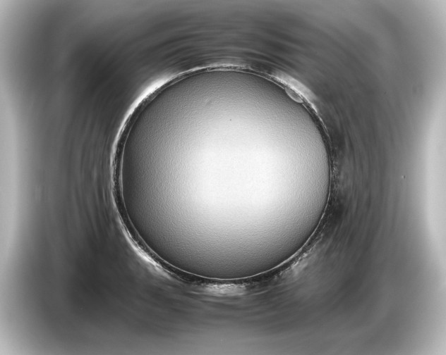 X0000087051135200705021151