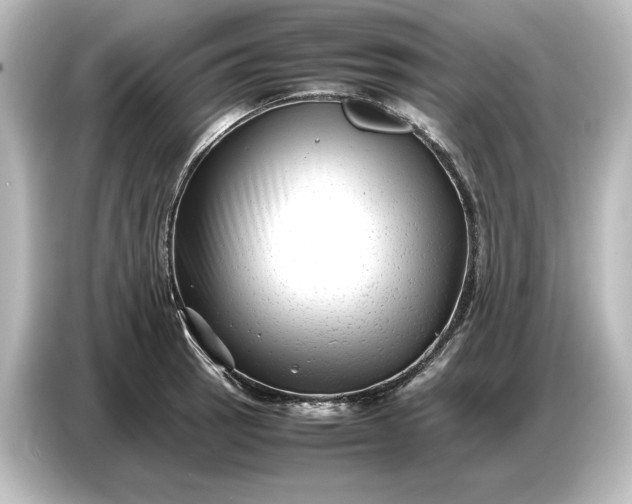 X0000087051137200705021151