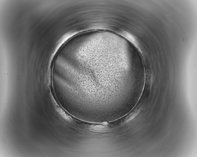 X0000087051140200705021151