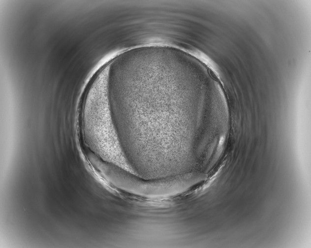 X0000087051142200705021151