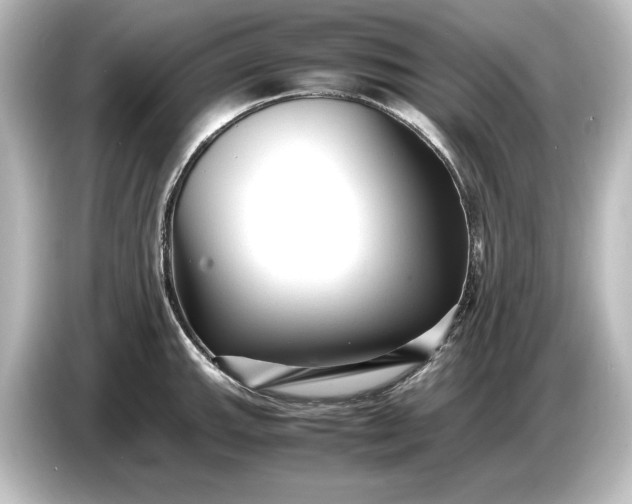 X0000087051143200705021151