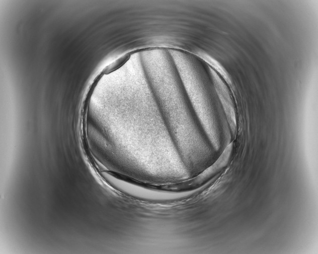 X0000087051144200705021151