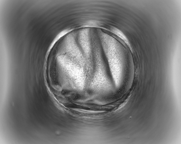 X0000087051146200705021151