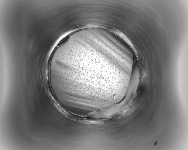 X0000087051148200705021151