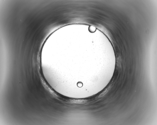 X0000087051150200705021151