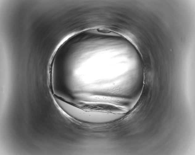 X0000087051151200705021151