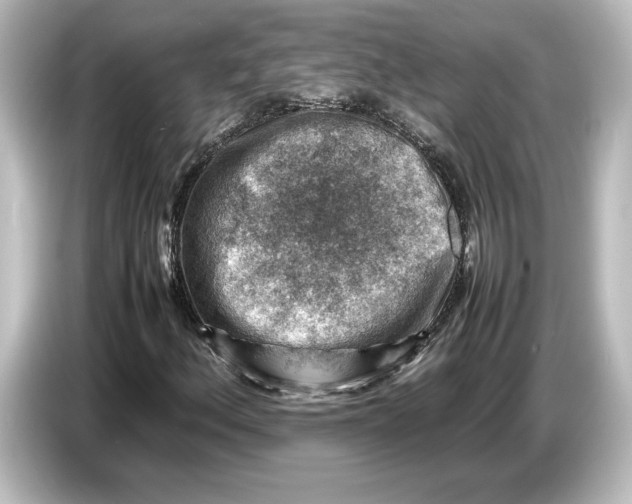 X0000087051156200705021151