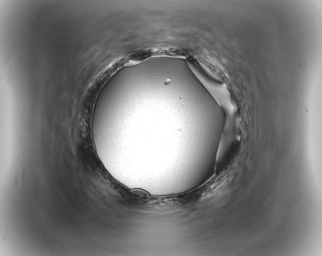 X0000087051159200705021151