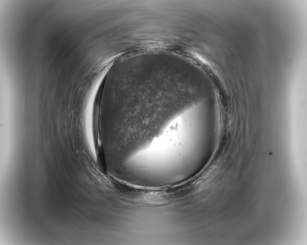 X0000087051161200705021151