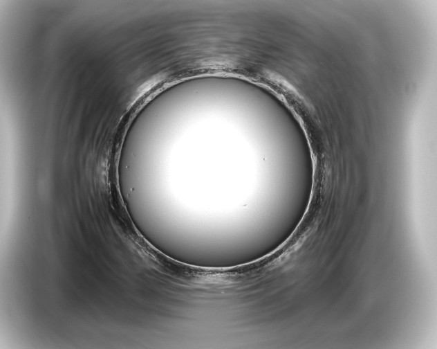 X0000087051162200705021151