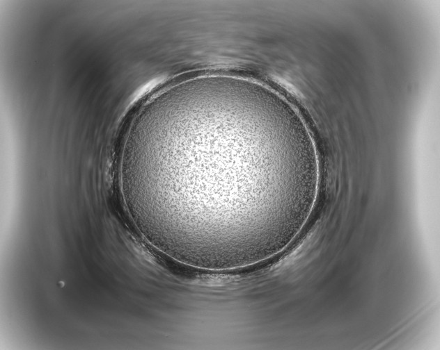 X0000087051163200705021151